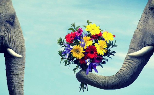 The Myth Of Falling In Love