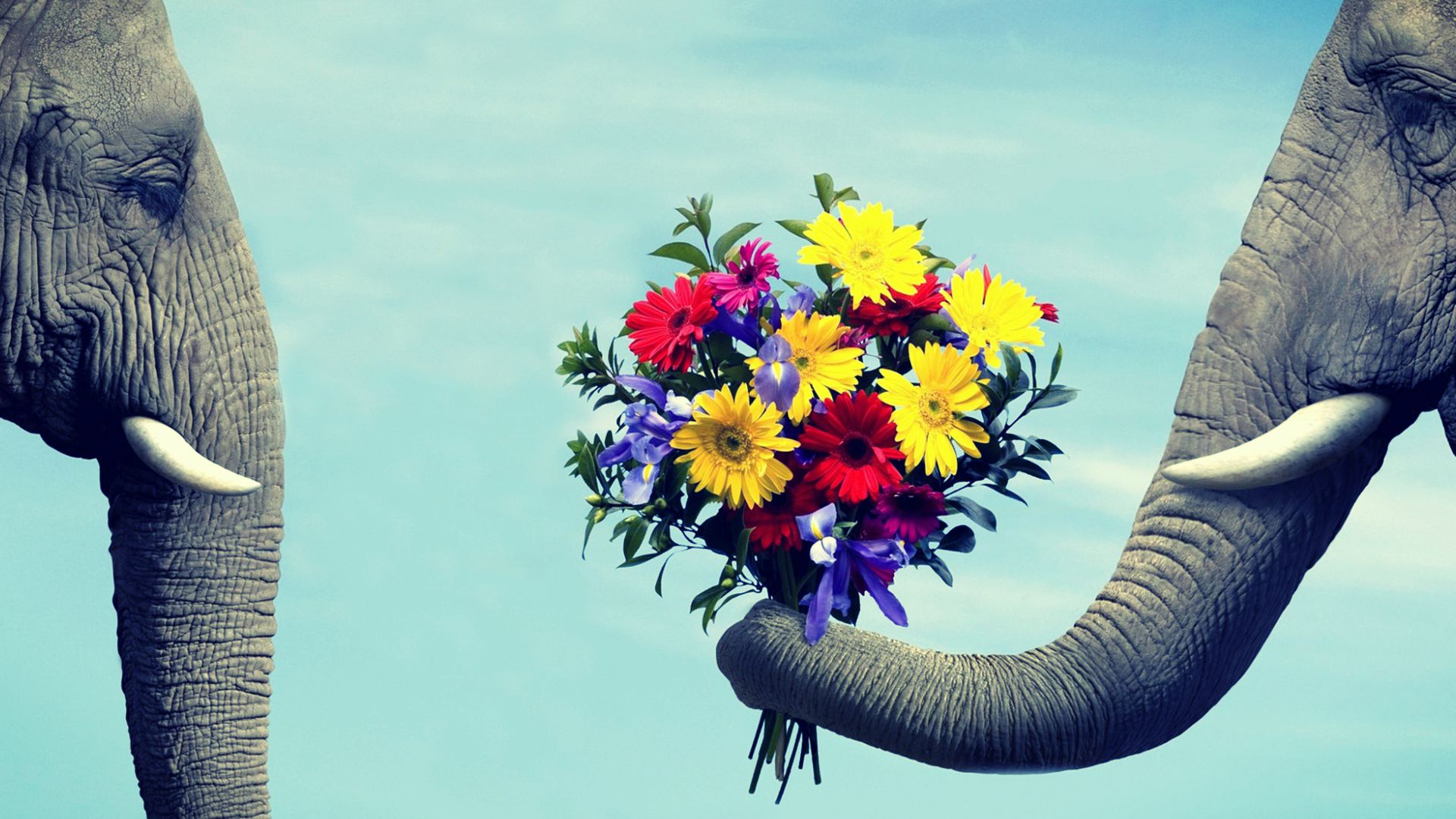 The Myth Of Falling In Love