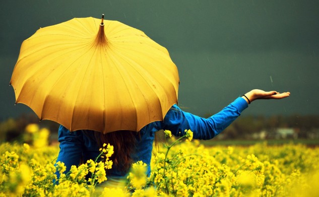 From Solitude To Compassion