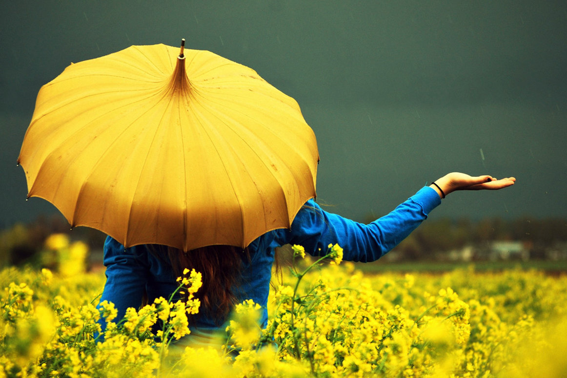 From Solitude To Compassion