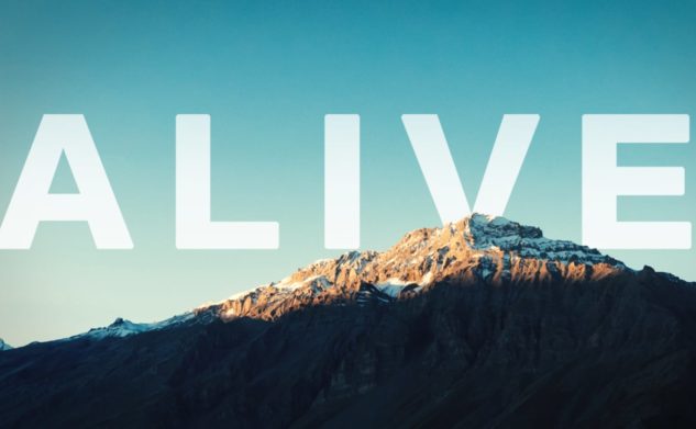 Alive With You | boy & KING